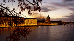 toulouse kicsi
